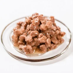 Brit Premium Kissan Märkäruoka*kanapalat pennuille, 100g