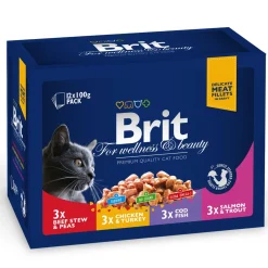 Brit Premium Kissan Märkäruoka*Multipack 12x 100g