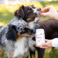 Buddy Öljyt, Vitamiinit Ja Lisäravinteet|Hoito Ja Terveys*Care Probiotic 150 g