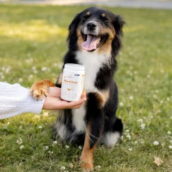 Buddy Öljyt, Vitamiinit Ja Lisäravinteet|Hoito Ja Terveys*Care Skin & Coat 150 g