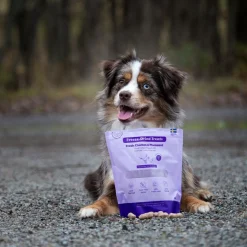 Buddy Täyslihaherkut|Pakastekuivatut Koiranherkut*Freeze-dried kana & fasaani 100 g