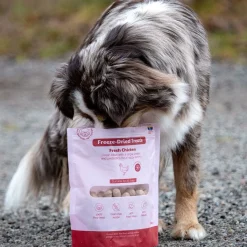 Buddy Täyslihaherkut|Pakastekuivatut Koiranherkut*Freeze-dried kana 100 g