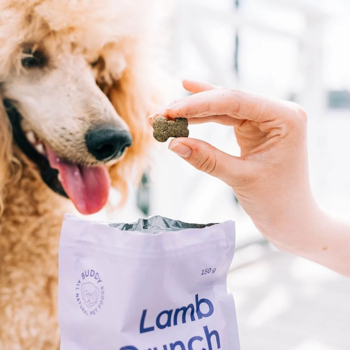 Buddy Pehmeät Koiran Herkut|Pikkuherkut Ja Treeninamit*Lammasherkku koiralle 150g
