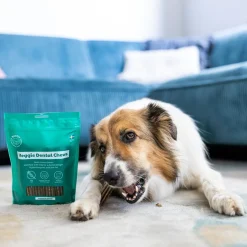 Buddy Hammasherkut*Veggie Dental Chew M