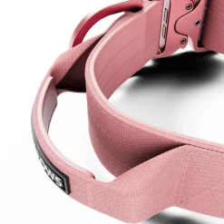BullyBillows Igp|Koiran Pannat*Combat Kahvapanta koiralle, pinkki 5 cm