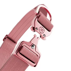 BullyBillows Igp|Koiran Pannat*Combat Kaulapanta kahvalla, pinkki 4 cm