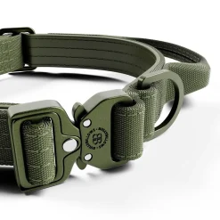 BullyBillows Igp|Koiran Pannat*Combat panta kahvalla, khaki 2,5 cm