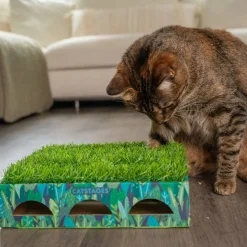 Catstages Kissan Pelit Ja Aktivointilelut*Grass Patch Hunting laatikko