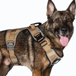 Cerberos Igp|Koiran Valjaat*Active valjas, Desert Brown