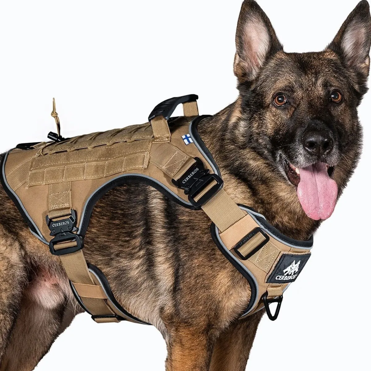 Cerberos Igp|Koiran Valjaat*Tactical koiran valjaat, Desert Brown
