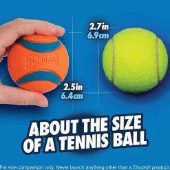 Chuckit Koiran Vesilelut|Koiran Pallot*Ultra Ball 2 kpl