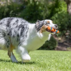 Chuckit Koiran Pallot Ja Heittolelut*Ultra Fetch Stick