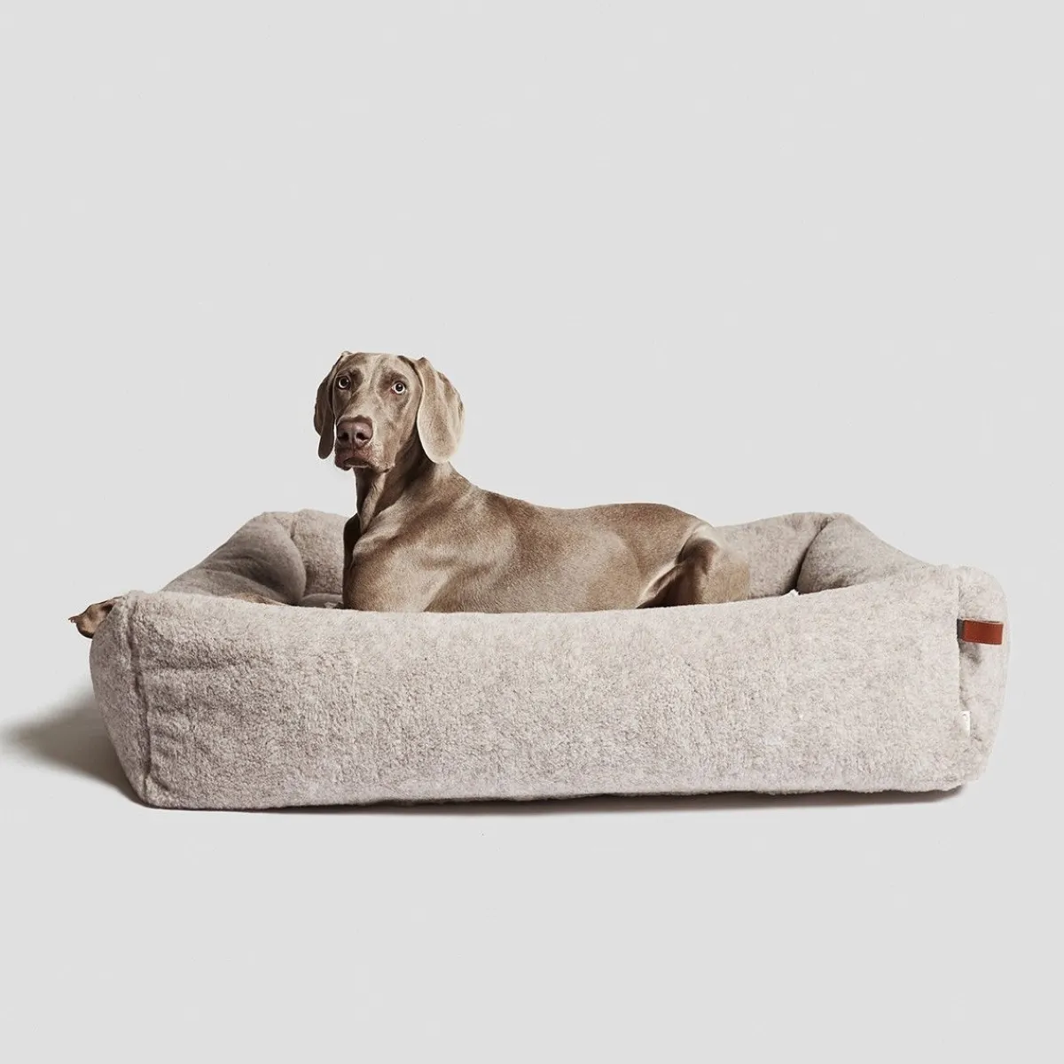 Cloud7 Koiran Pedit Ja Alustat|Koiran Pedit*koiranpeti sleepy Deluxe Teddy
