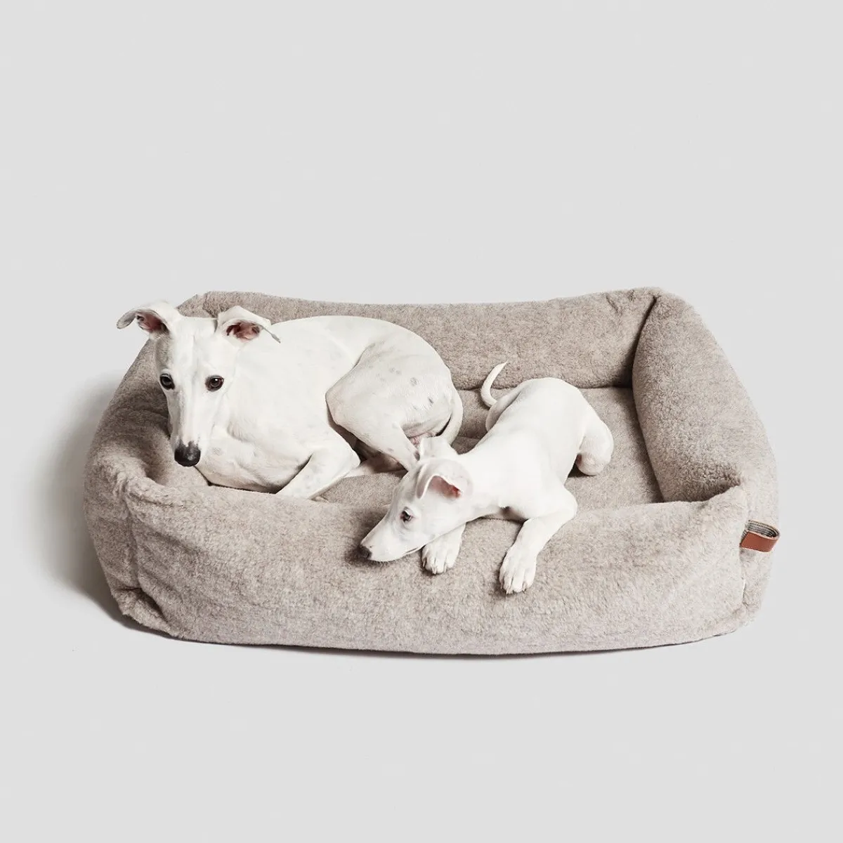 Cloud7 Koiran Pedit Ja Alustat|Koiran Pedit*koiranpeti sleepy Deluxe Teddy