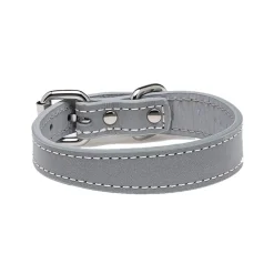 Collar of Sweden Koiran Heijastimet Ja Valot|Koiran Pannat*kapea heijastava solkipanta