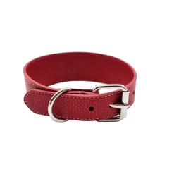 Collar of Sweden Koiran Pannat*leveä solkipanta, punainen