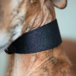 Collar of Sweden Koiran Pannat*leveä solkipanta, musta glitter