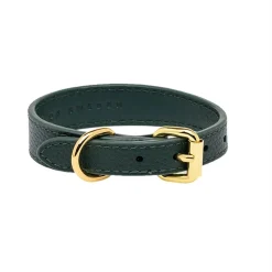 Collar of Sweden Koiran Pannat*solkipanta kapea, tummanvihreä
