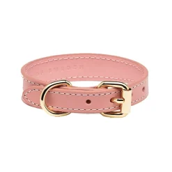 Collar of Sweden Koiran Pannat*solkipanta kapea, pinkki