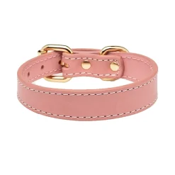 Collar of Sweden Koiran Pannat*solkipanta kapea, pinkki