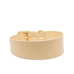Collar of Sweden Koiran Pannat*solkipanta leveä, beige