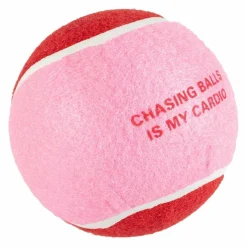 Coockoo Koiran Pallot*CHASE ME XL-pallo, punainen-pinkki