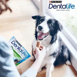 Dentalife Hammasherkut*Medium 24-pack