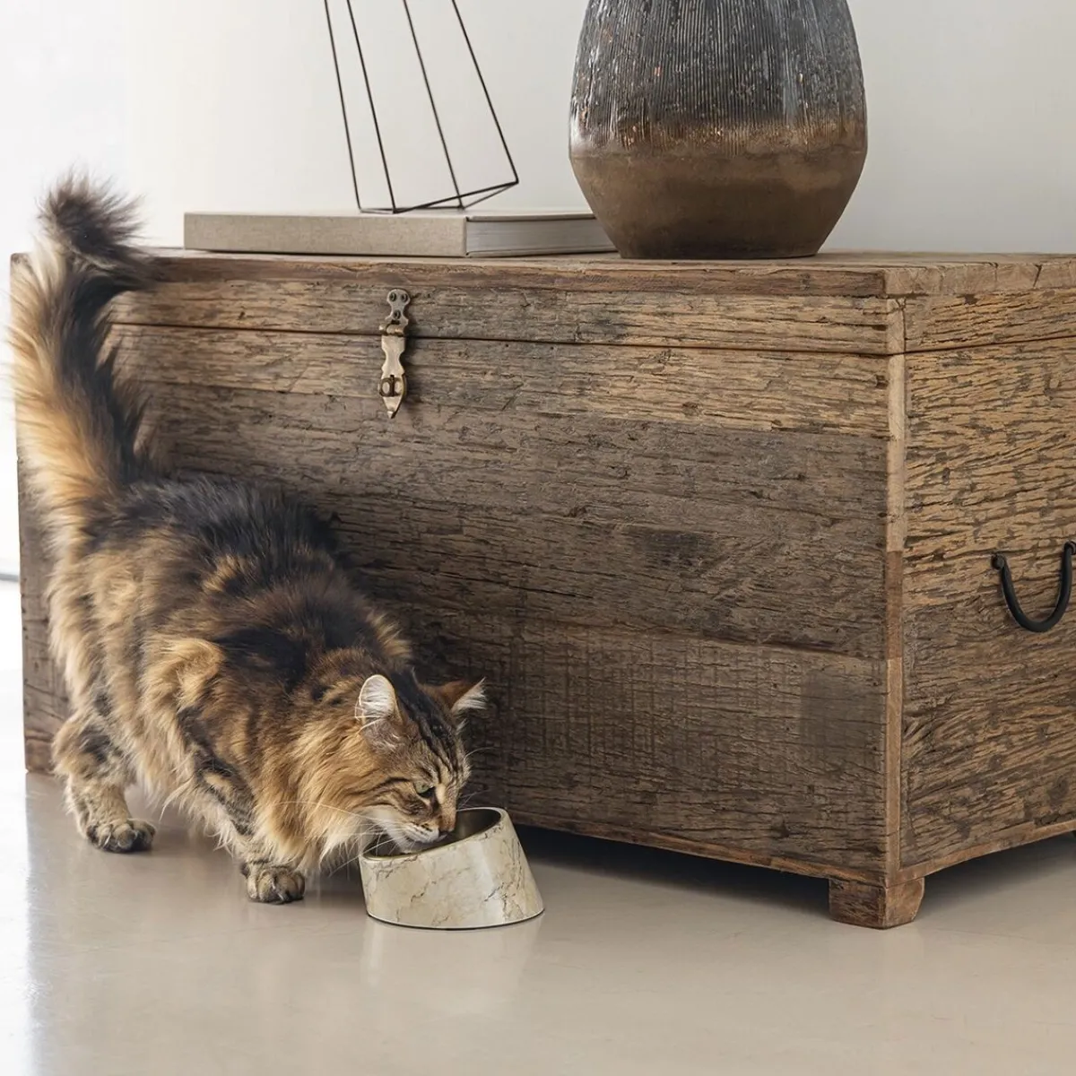 Designed by Lotte Koiranpennun Ruokailu|Kuppitelineet Ja Korotetut Kupit*Vita kissankuppi, beige