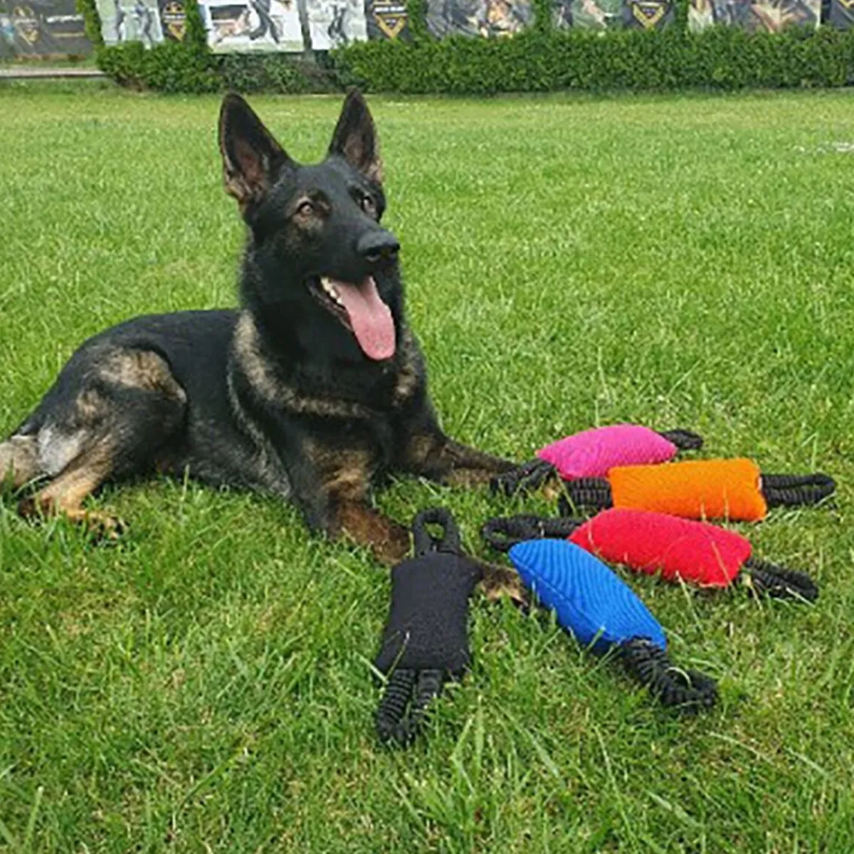 Dingo Gear Koiran Vetolelut|Koiran Pallot Ja Heittolelut*Bungee Bite Tug