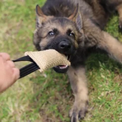 Dingo Gear Koiran Vetolelut|Koiran Treenilelut*Kamprulle i Jute med 1 Handtag 40 cm