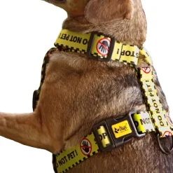 Dingo Koiran Valjaat*keltainen huomiovaljas Do Not Pet