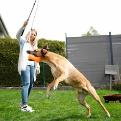 Kerbl Koiran Aktivointilelut Ja -Pelit*Dog Dangler