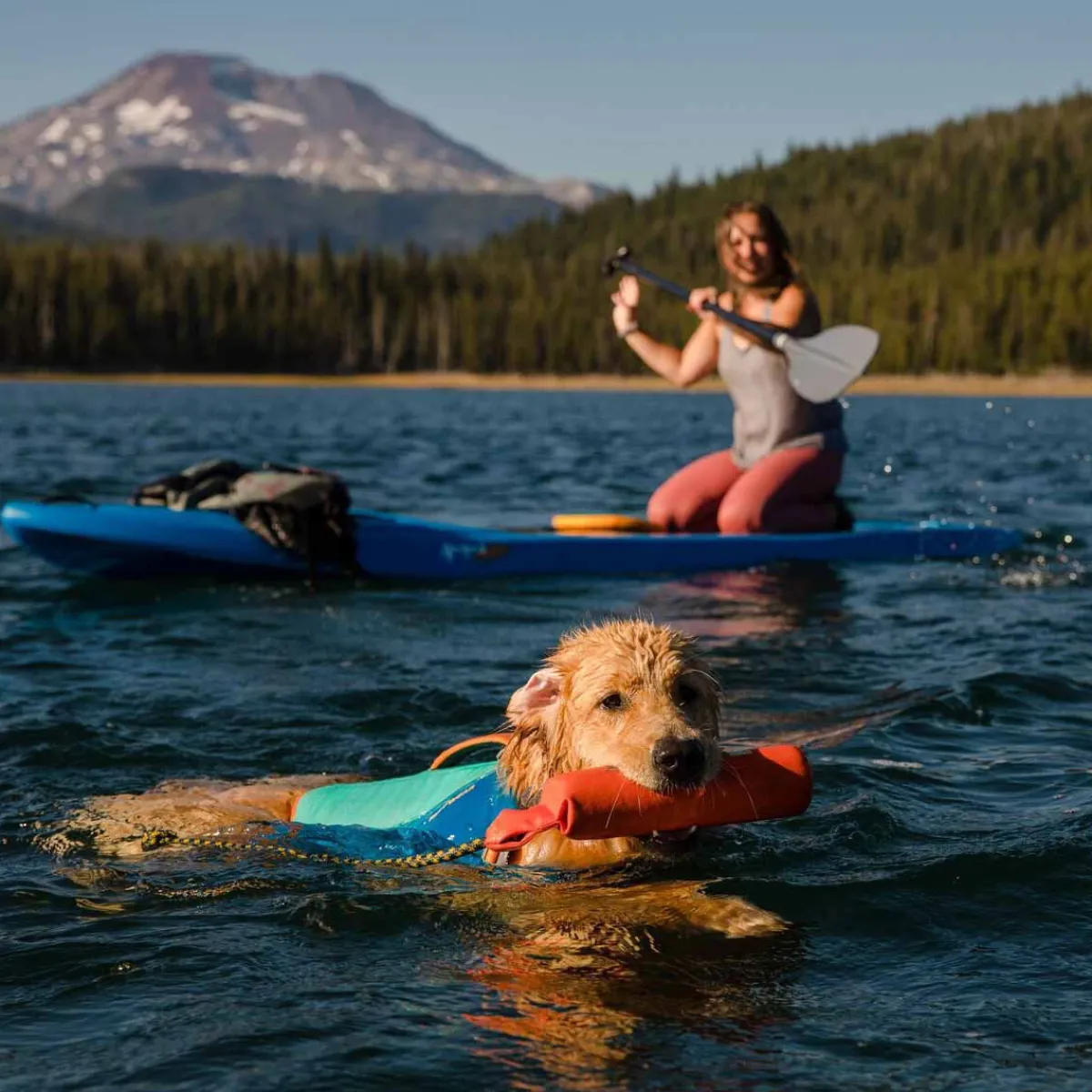 RuffWear Koiran Vesilelut|Dummyt*Dummy Lunker