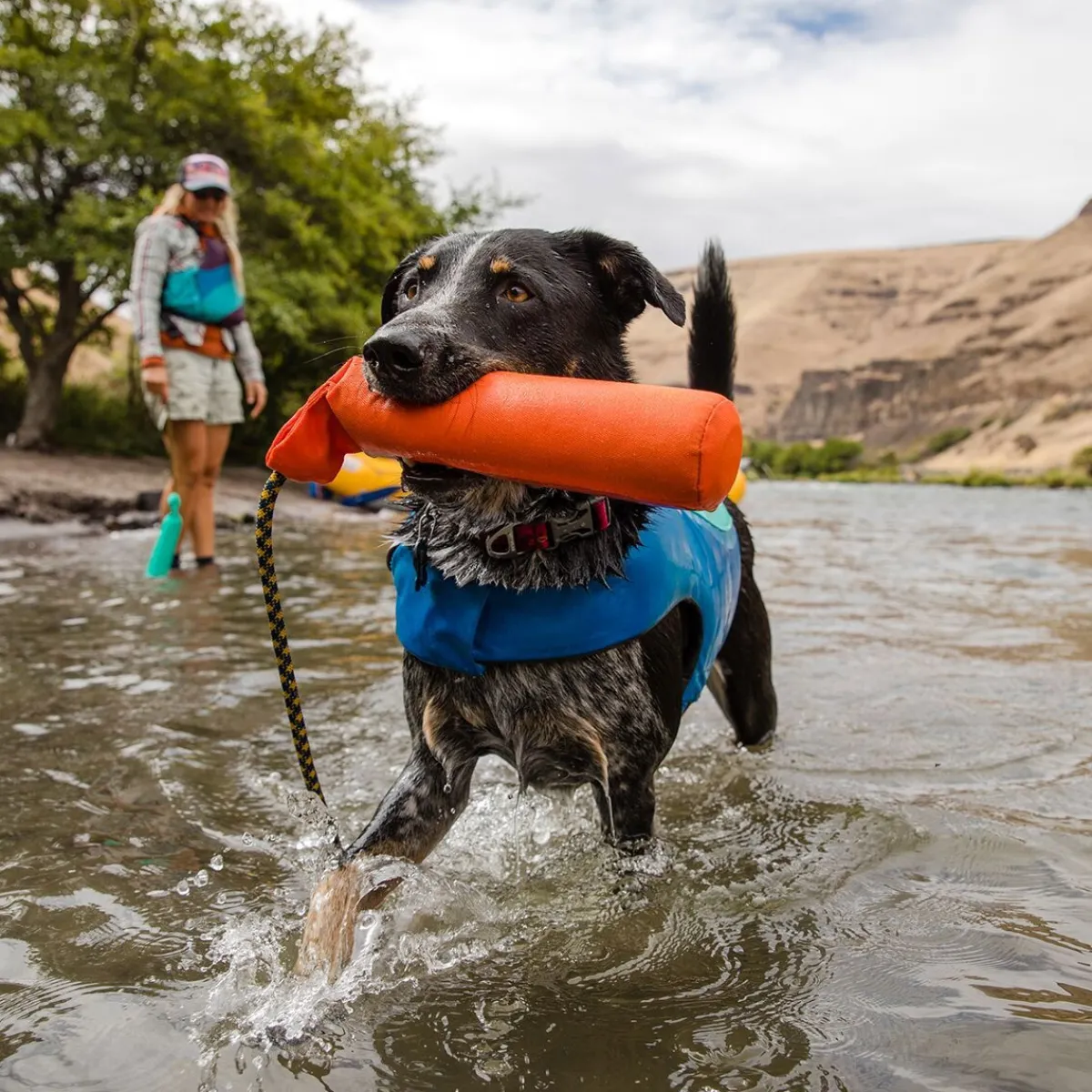 RuffWear Koiran Vesilelut|Dummyt*Dummy Lunker