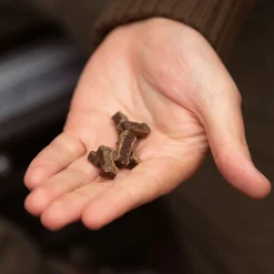 Essential Foods Pehmeät Koiran Herkut|Pikkuherkut Ja Treeninamit*ESSENTIAL Duck Mini Delights 100g