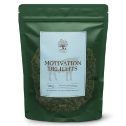 Essential Foods Pikkuherkut Ja Treeninamit*ESSENTIAL Motivation Delights 500g