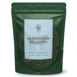 Essential Foods Pikkuherkut Ja Treeninamit*ESSENTIAL Motivation Delights 500g