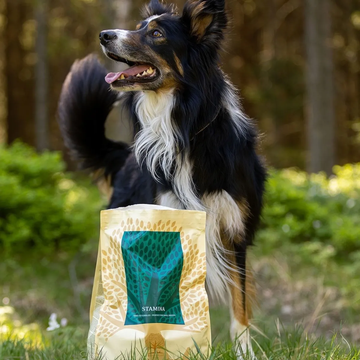 Essential Foods Koiran Kuivaruoka|Viljaton Koiranruoka*ESSENTIAL STAMINA SMALL BREED 2,5kg