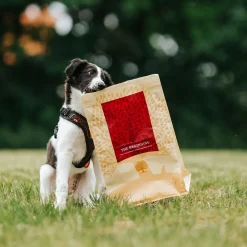 Essential Foods Koiran Kuivaruoka|Viljaton Koiranruoka*ESSENTIAL the BEGINNING SMALL BREED