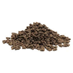 Essential Foods Viljaton Kissanruoka|Kissanpennun Ruoka*ESSENTIAL The LITTLE LION