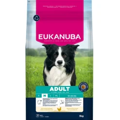 Eukanuba Koiran Kuivaruoka*Adult Medium