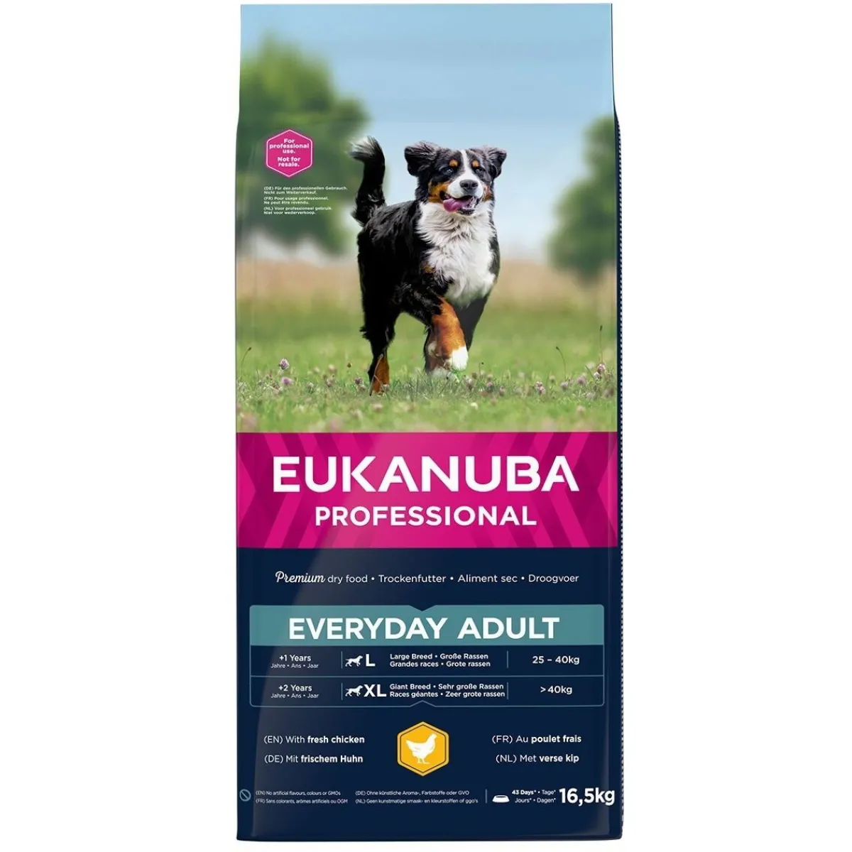 Eukanuba Koiran Kuivaruoka*EveryDay Adult Large 16,5 kg