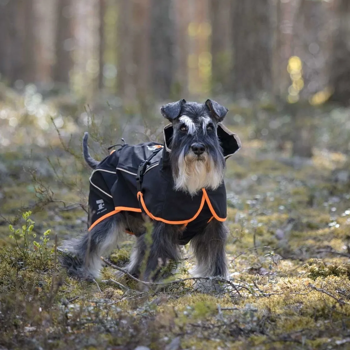 Feel Active Koiran Vaatteet|Koiran Sadetakki*Kiruna koiran sadetakki musta