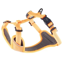 Feel Active Koiran Heijastimet Ja Valot|Koiran Valjaat*Reflective heijastinvaljas oranssi