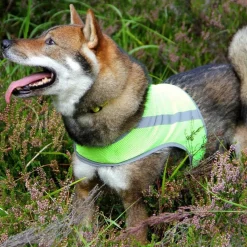 FinNero Koiran Vaatteet|Koiran Huomioliivit*Atte huomioliivi, keltainen