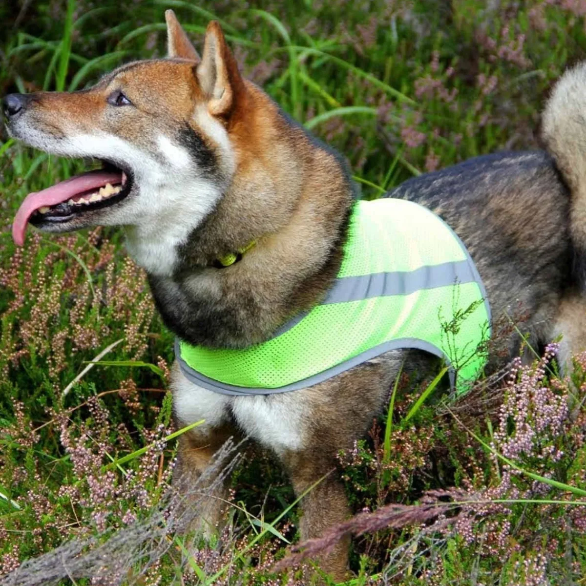 FinNero Koiran Vaatteet|Koiran Huomioliivit*Atte huomioliivi, keltainen