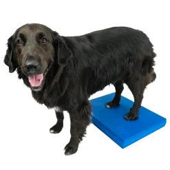 FitPaws Koiran Tasapainotyynyt|Toko*Balance Pad, 38 x 46 x 5 cm