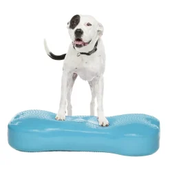 FitPaws Koiran Tasapainotyynyt|Uutuudet Koirille*K9FitBone Giant, 86 x 39 x 15 cm