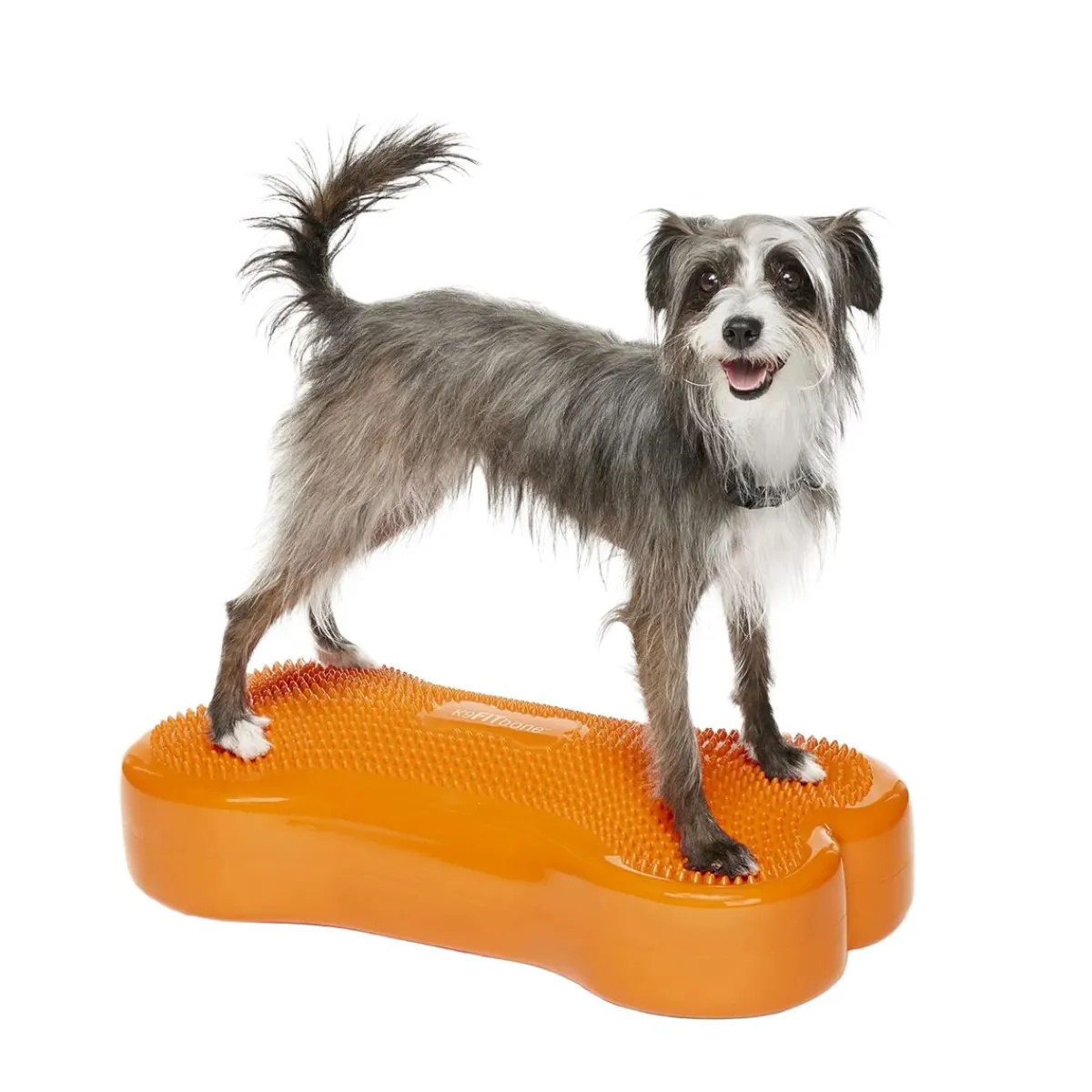 FitPaws Koiran Tasapainotyynyt|Uutuudet Koirille*K9FitBone, 58 x 29 x 10 cm