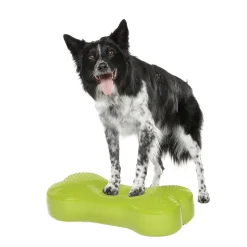 FitPaws Koiran Tasapainotyynyt|Uutuudet Koirille*K9FitBone, 58 x 29 x 10 cm